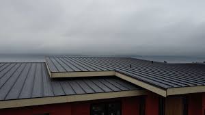 Best Sheet Metal Roofing  in Haubstadt, IN